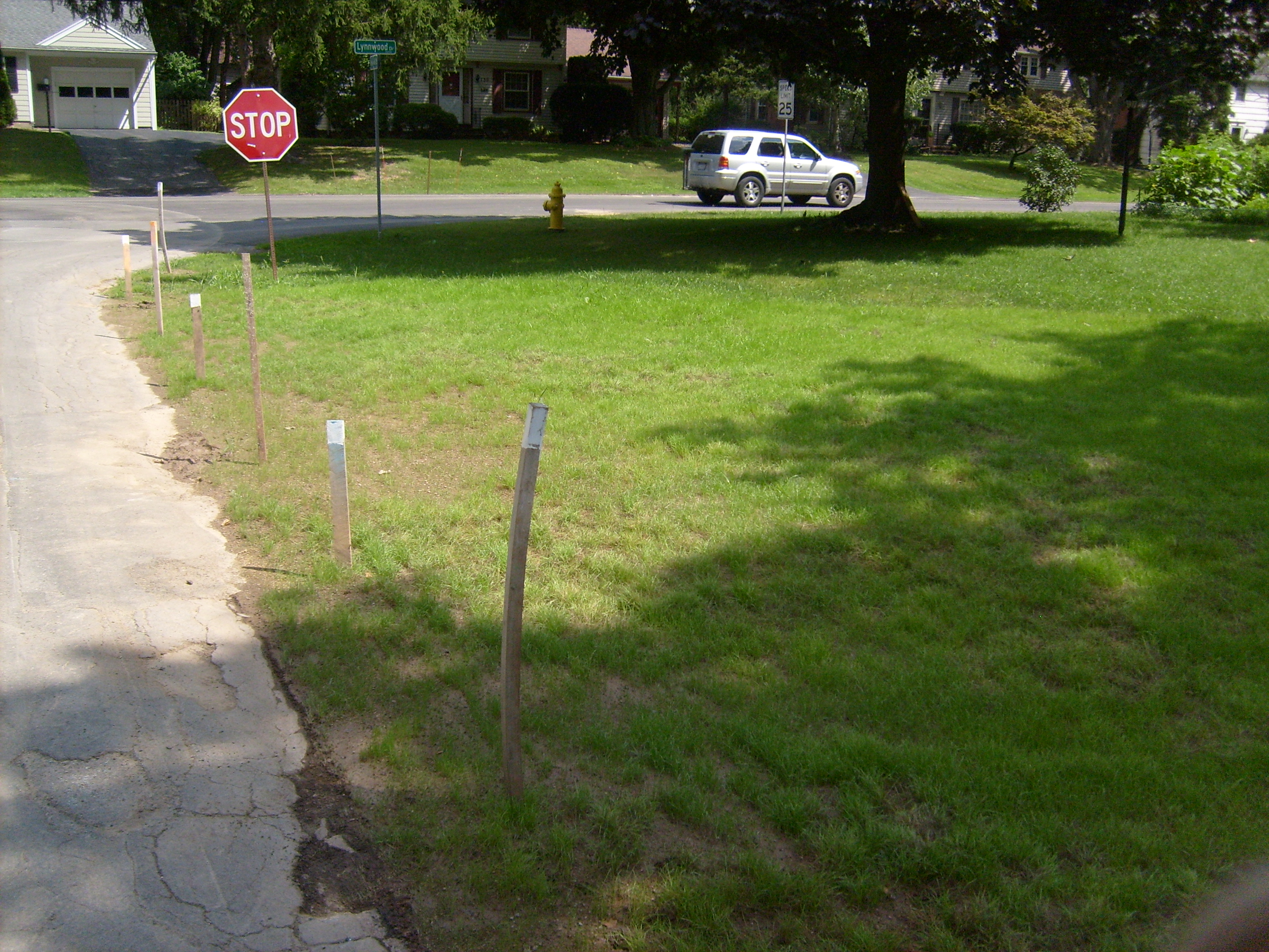 Lynnwood at Hollyvale